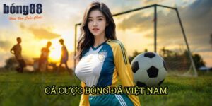 Cá cược bóng đá Việt Nam Bong88: Phương pháp đầu tư hiệu quả với V-League