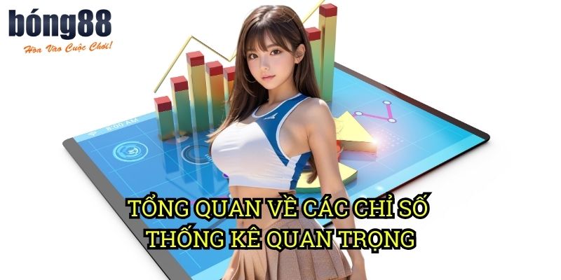 Tổng quan về các chỉ số thống kê quan trọng