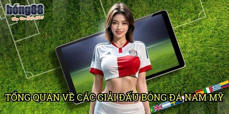 Tổng quan về các giải đấu bóng đá Nam Mỹ