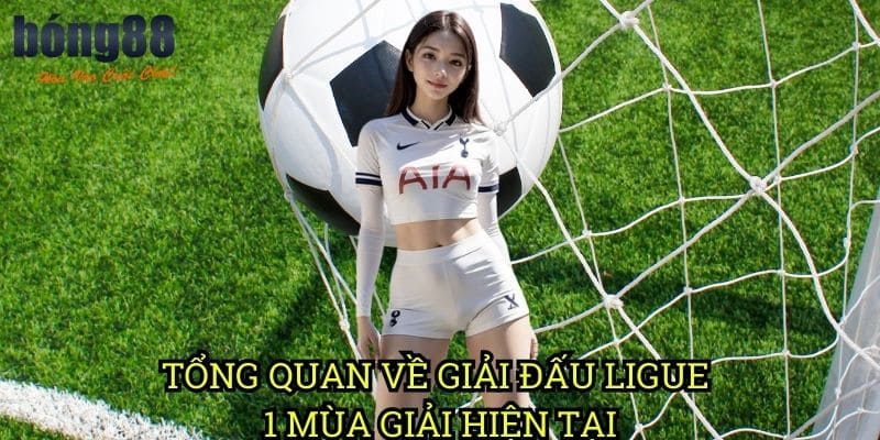 Tổng quan về giải đấu Ligue 1 mùa giải hiện tại