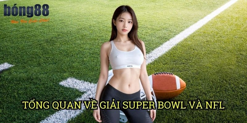 Tổng quan về giải Super Bowl và NFL