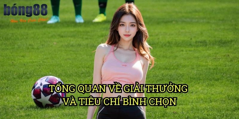 Tổng quan về giải thưởng và tiêu chí bình chọn