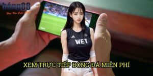 Xem trực tiếp bóng đá miễn phí Bong88: Trải nghiệm giải trí đỉnh cao không giới hạn